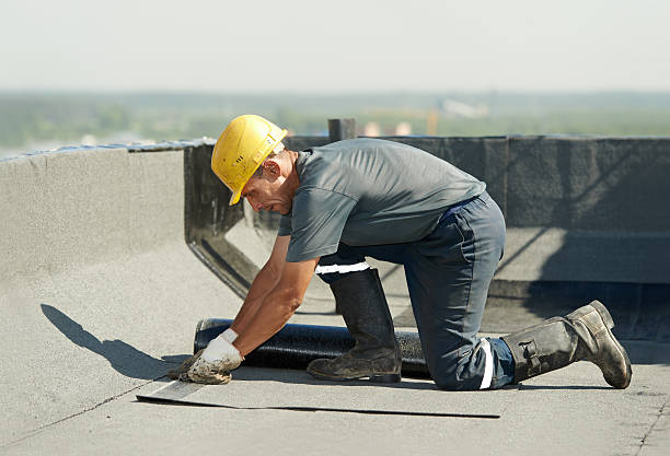 Best Eco-Friendly Insulation in Sandy Hook, CT